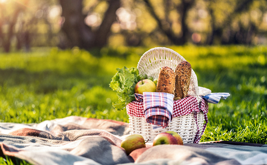 Picnic blanket and basket in a sunlit grassy meadow