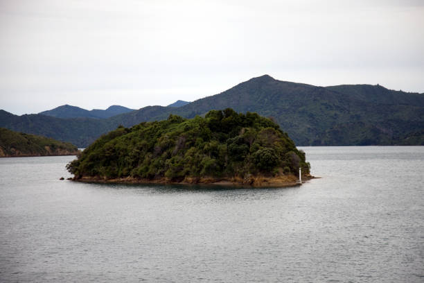 istock Ferry View Picton New Zealand 687334502