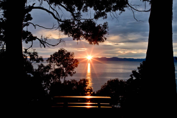 istock Nelson New Zealand sunrise 687334516