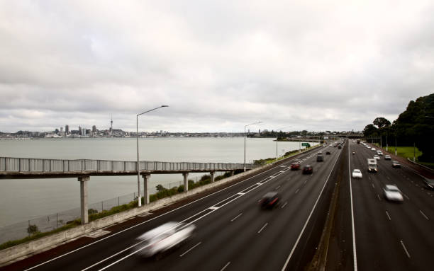 istock Auckland New Zealand 687334736