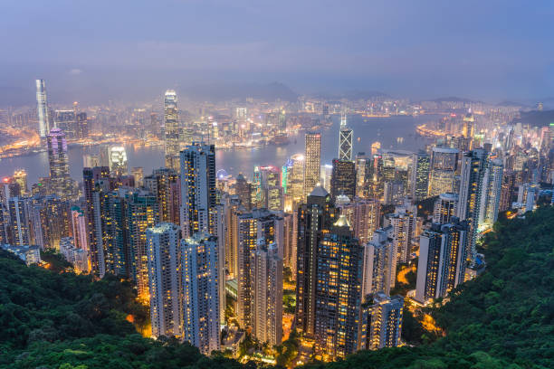 istock Hong kong's skyline seen from the Peak 687344262