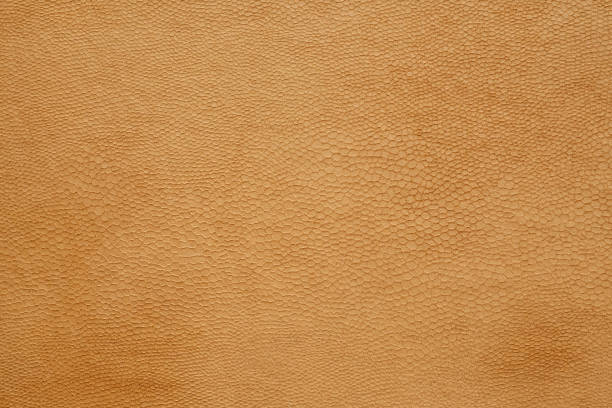 istock Brown old leather textured background, fashion design, wallpaper 687345100