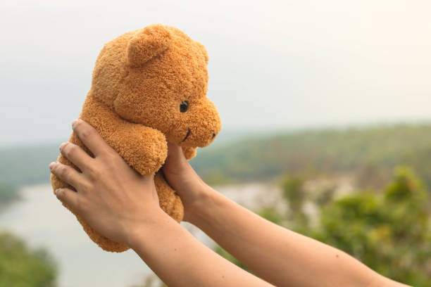 istock Happy travel with a bear, Concept bear travel. 687366666