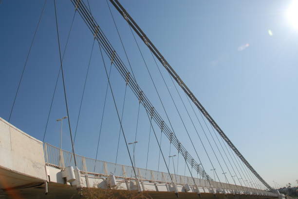 istock Single-hoisted cable-stayed bridge in Elche - Costa Blanca - Spain 687369438