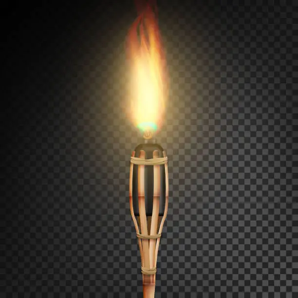 Vector illustration of Burning Beach Bamboo Torch With Flame. Realistic Fire. Realistic Fire Torch Isolated On Transparent Background. Vector Illustration