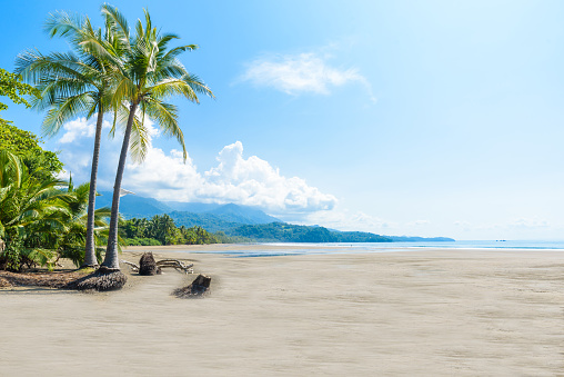 Marino Ballena National Park in Uvita - beautiful beaches and tropical forest at pacific coast of Costa Rica