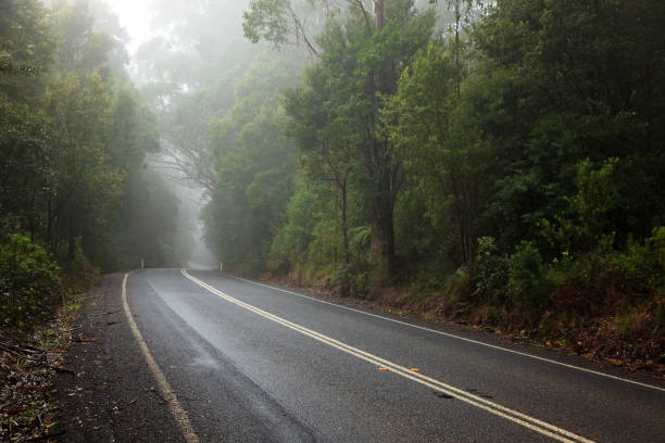 istock Fog on Mountain Road Australia 687372226