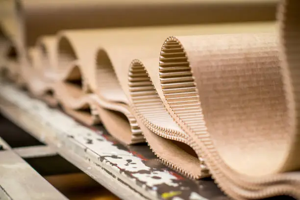 cardboard producing at a paper mill factory