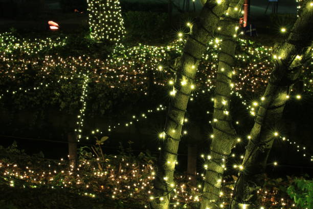 istock Illumination of winter in Japan 687388498