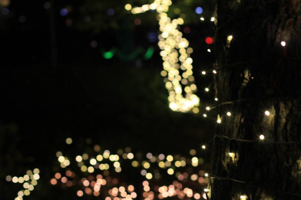 istock Illumination of winter in Japan 687388614