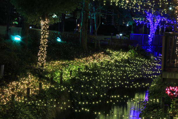 istock Illumination of winter in Japan 687389104