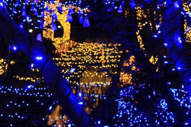 istock Illumination of winter in Japan 687389132