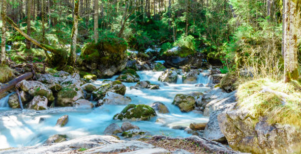 istock Ache mountain Creek by Ramsau in Bavaria 687389472
