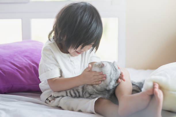 istock Asian baby playing with American Shorthair  kitten 687399450