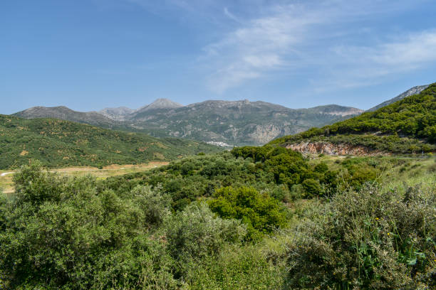 istock View of the mountains 687399476
