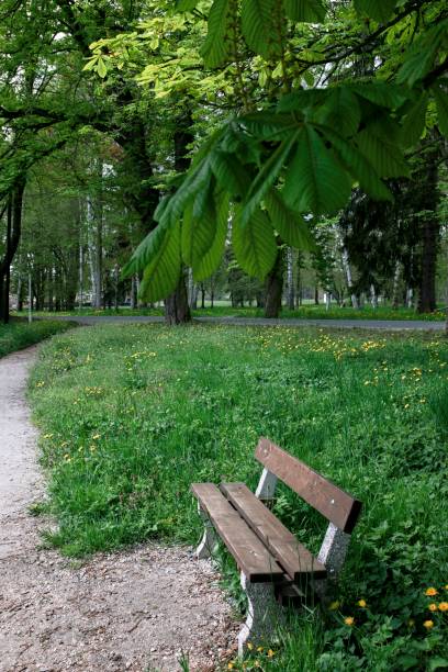 istock Growing flowers in a park in the spring 687402104