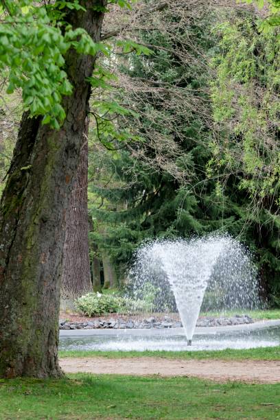 istock Growing flowers in a park in the spring 687403064