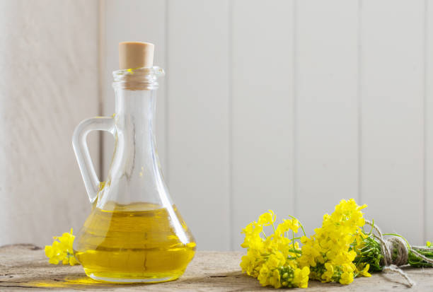 istock rapeseed oil (canola) and rape flowers on wooden table 687405828