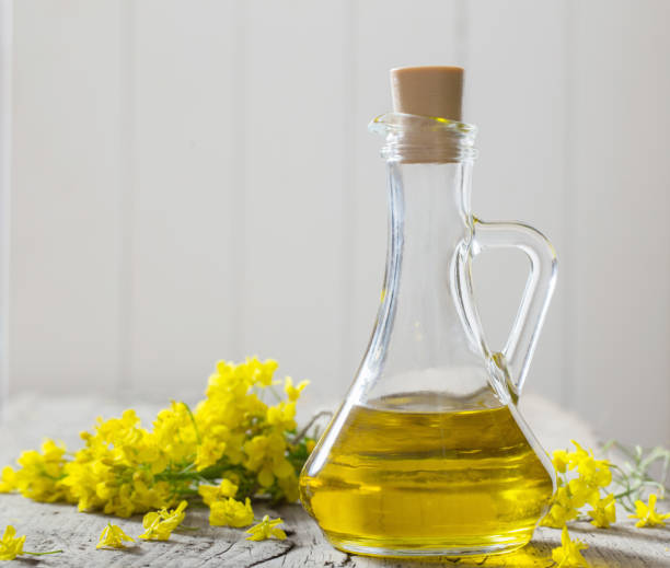 istock rapeseed oil (canola) and rape flowers on wooden table 687405874