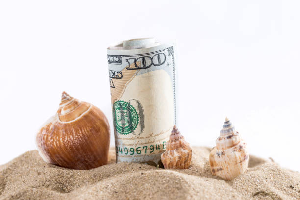 istock dollar in sand with shell isolated on white. summer concept 687406992