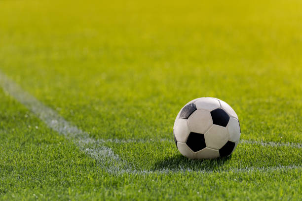 istock soccer ball on grass in corner kick position on soccer field stadium 687414628