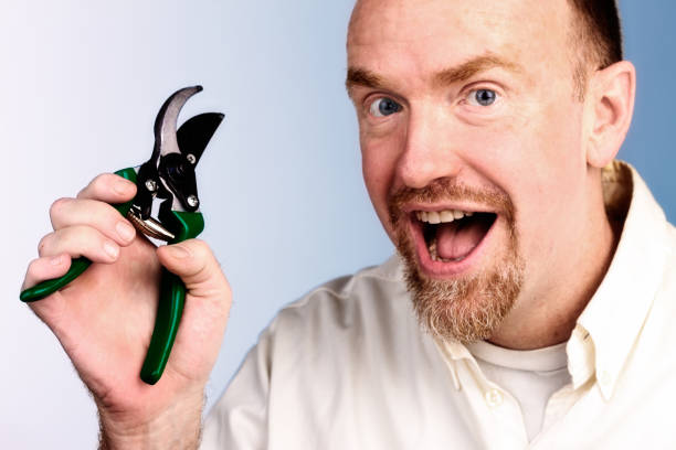 istock Mature, bearded man holds garden clippers, smiling 687415166