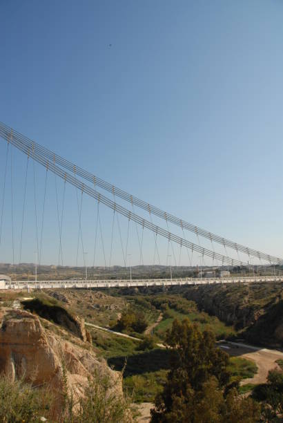 istock Single-hoisted cable-stayed bridge in Elche - Costa Blanca - Spain 687415498