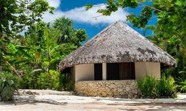 istock tropical island with sandy beach 687418298