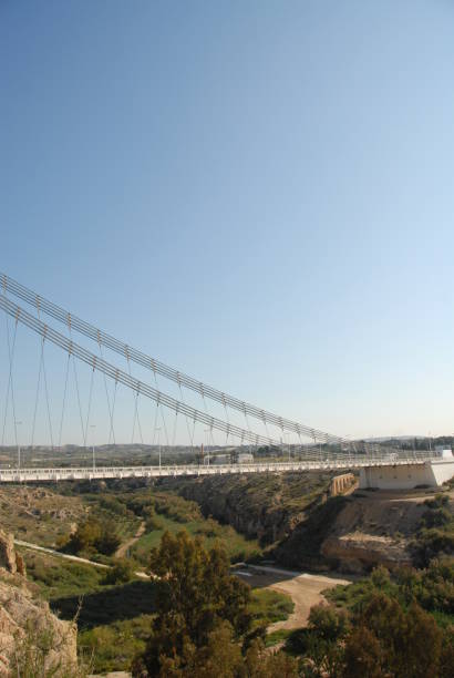 istock Single-hoisted cable-stayed bridge in Elche - Costa Blanca - Spain 687418340