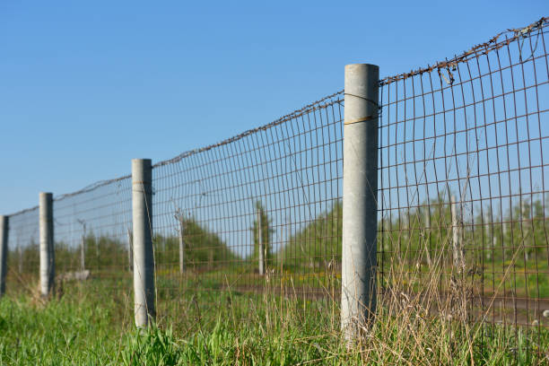 istock The barbed wire fence 687421220