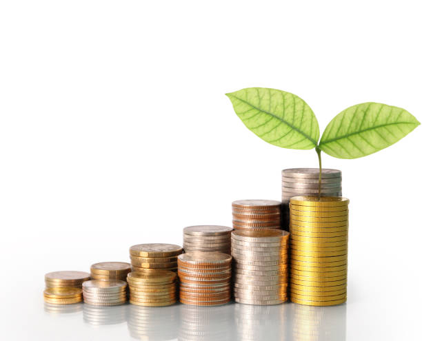 istock Investment concept, Coins graph stock 687421682