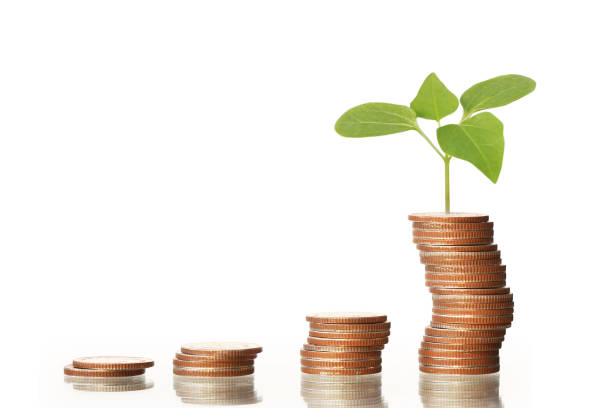 istock Investment concept, Coins graph stock 687421694