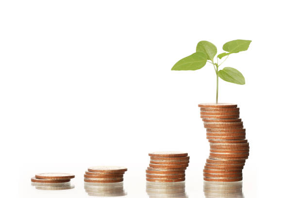 istock Investment concept, Coins graph stock 687421696