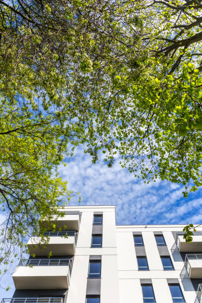 istock Summer in new modern housing estate 687422426