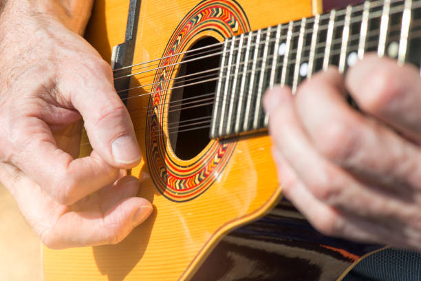 peruvian mandolin with 12 strings - ballad imagens e fotografias de stock