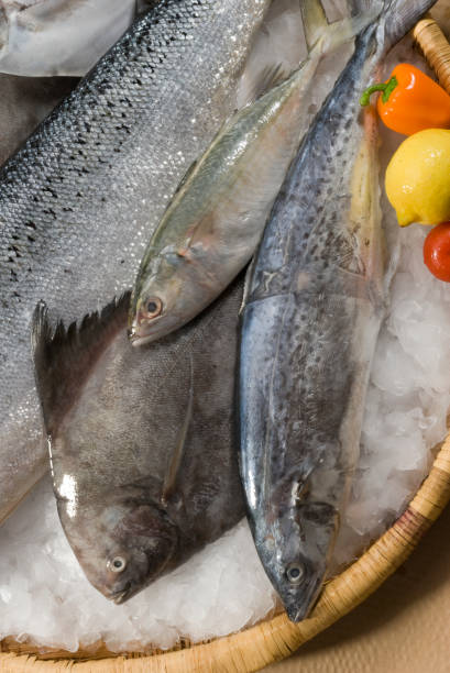 istock mix fresh fish on bamboo round tray with fresh vegetables with ice on brown background 687441618