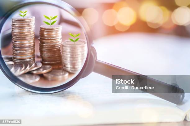 Double Exposure Business Concept With Magnifying Glass Focus On Tree Growing On Coins Stock Photo - Download Image Now