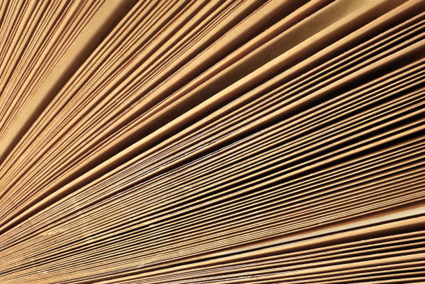 istock Pages. Macro view of old book pages 687446664