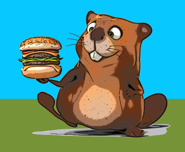 Fun beaver Fun beaver ondatra zibethicus stock illustrations