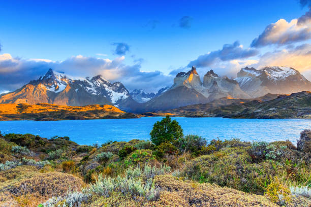 istock Torres Del Paine National Park, Chile. 687479788
