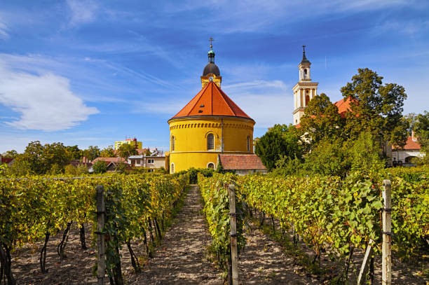 Small Carpathian Wine Route stock photo