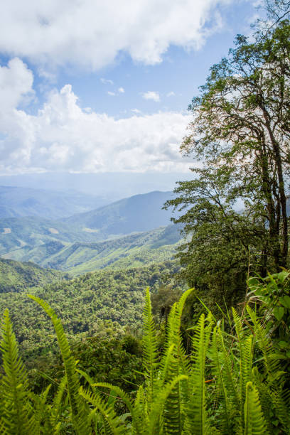 istock View point of valley on cloudy day 687487438