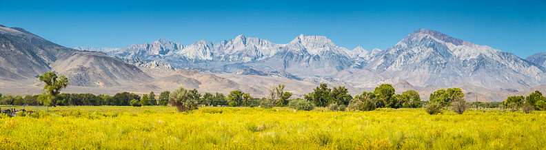 Panoramic view of Eastern Sierra Nevada mountain range with blooming meadows and trees on a beautiful sunny day with blue sky in summer seen from Bishop, Inyo County, California, USA