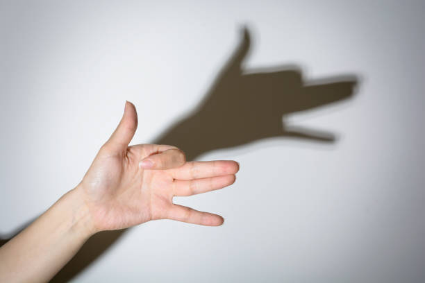 Shadow Play Dog Stock Photo - Download Image Now - Shadow, Hand, Theatrical  Performance - iStock
