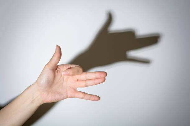 Shadow Play Dog Stock Photo - Download Image Now - Shadow, Hand, Theatrical Performance - iStock Shadow Play Dog Stock Photo - Download Image Now - Shadow, Hand, Theatrical Performance - iStock
