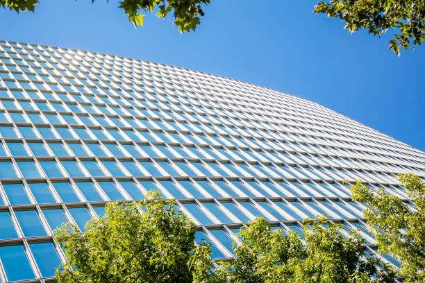 istock Modern office building with green leaves 687497968