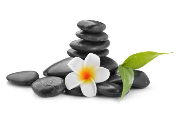 pietre di basalto zen, frangipani e bambù isolati su bianco - stone lastone therapy spa treatment health spa foto e immagini stock