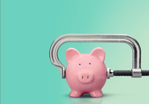 istock Piggy bank. 687505108