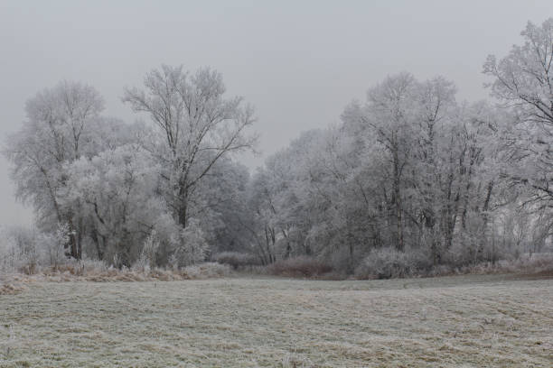 istock Winter landscape in Bavaria 687506656