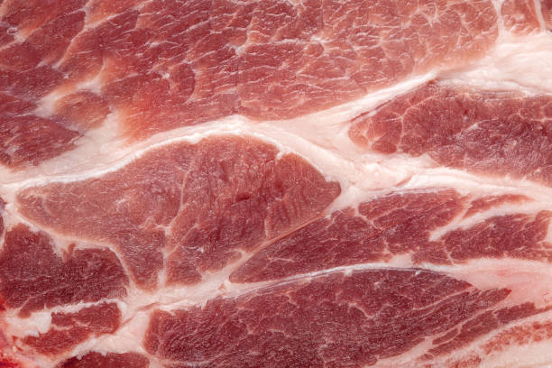 duży kawałek surowego mięsa jest jednym - barbecue beef close up multi colored zdjęcia i obrazy z banku zdjęć
